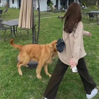 卡罗来纳的卡罗琳